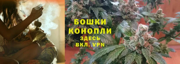 шишки Лихославль