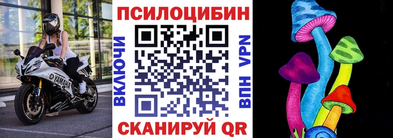 Галлюциногенные грибы прущие грибы  Купить где  Долгопрудный 